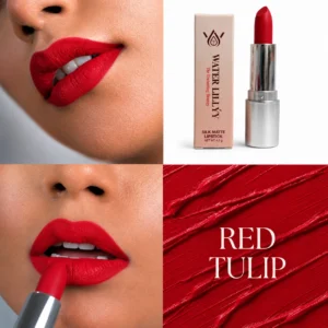 Red tulip